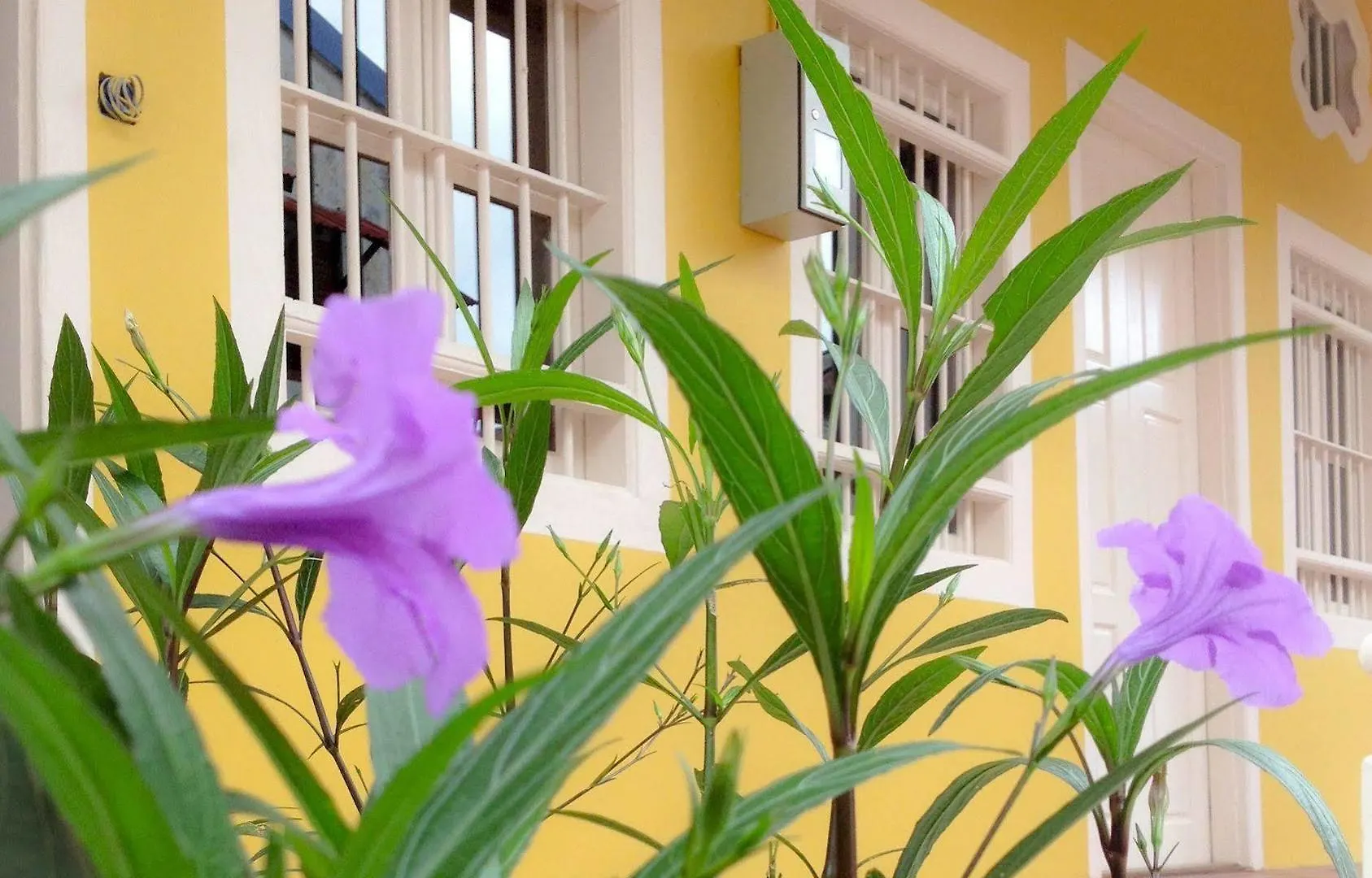 Sweet Cili Boutique Hotel George Town